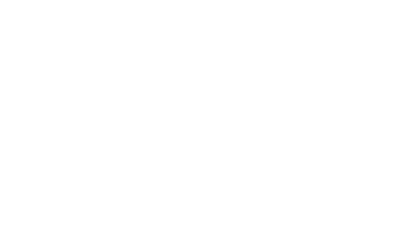 Domaine de la Paleine, Vins de Saumur